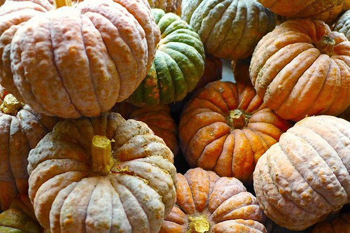 leica orange fall halloween pumpkin massachusetts newengland vegetable panasonic explore concord calabaza calabazas lx7 fallharvest explored 35000views hutchinsfarm imagesbyarden panasoniclumixdmclx7