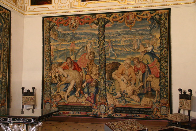sheep sheering in the residenz