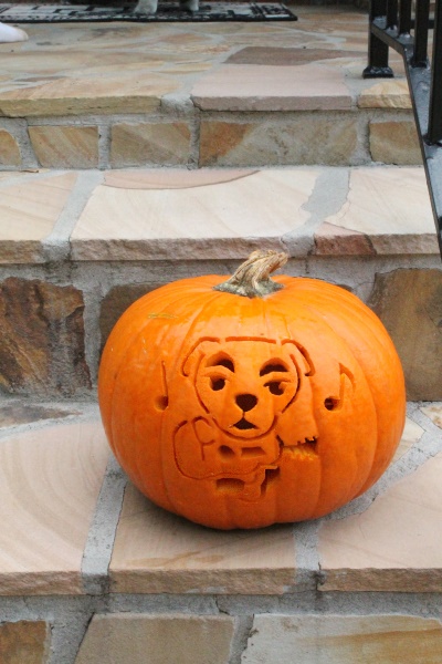 2014 Carving pumpkins, 6