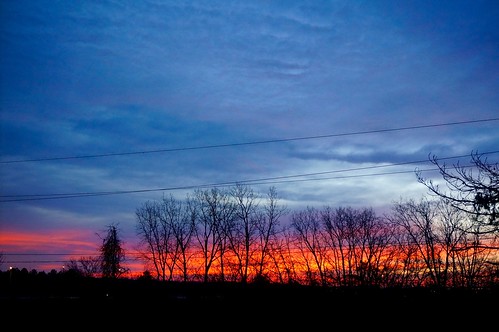 morning trees winter sky fall silhouette sunrise dawn michigan annarbor