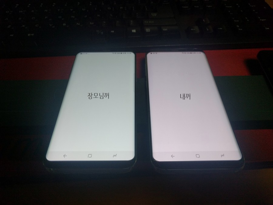 Samsung Galaxy S8 Display RED