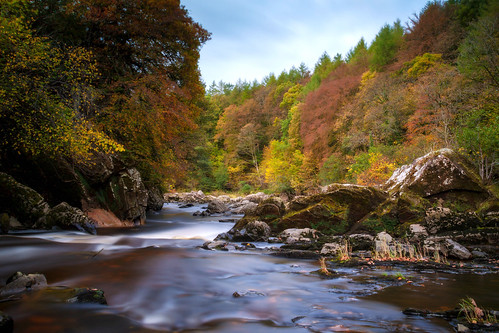 penton linns trees autumn liddel river border ©camaman ©davidliddle