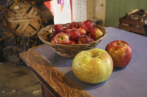 Cider Mill Visit: The Biggest Apple I've Ever Seen