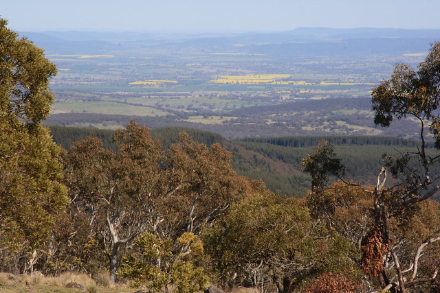 View from Mt Canobolas