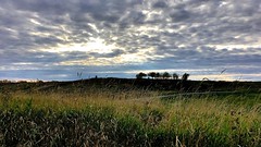 Sunset on the field (Camera360 app)
