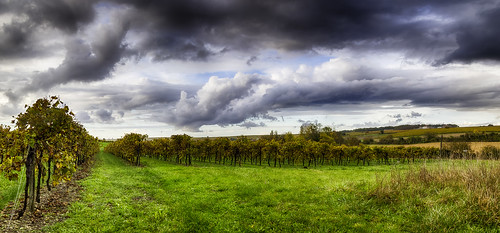 autumn panorama france automne cloudy paysage poitoucharentes cielnuageux verrieres16