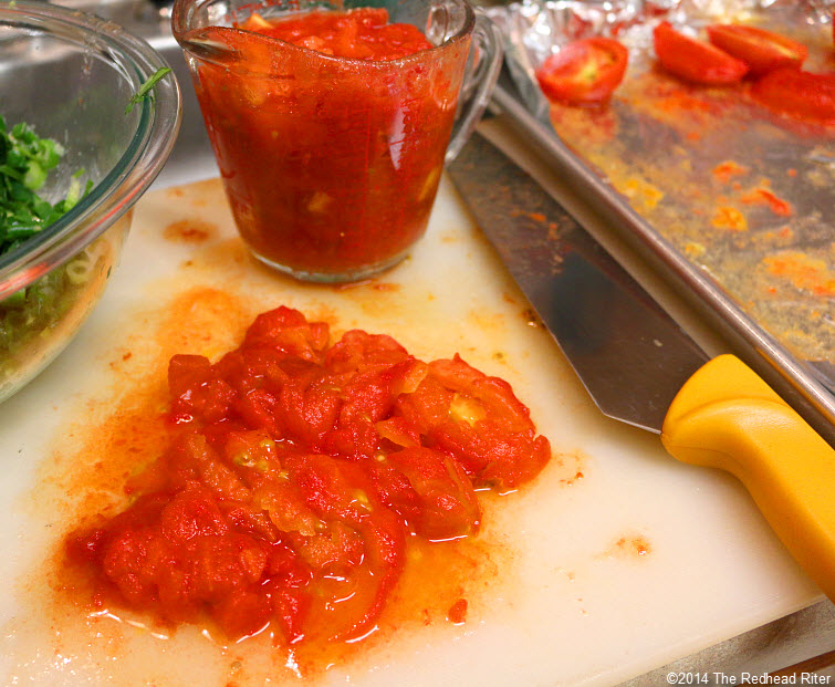 9 fire roasted tomatoes Salsa Ranchera VSL#3 IBS Friendly  Recipe