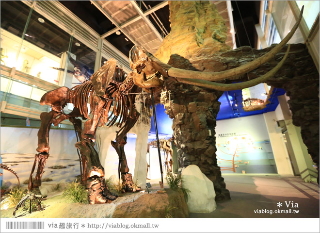 【台南南科景點】樹谷生活科學館～超大的劍齒象化石！有趣又能長知識的博物館！18