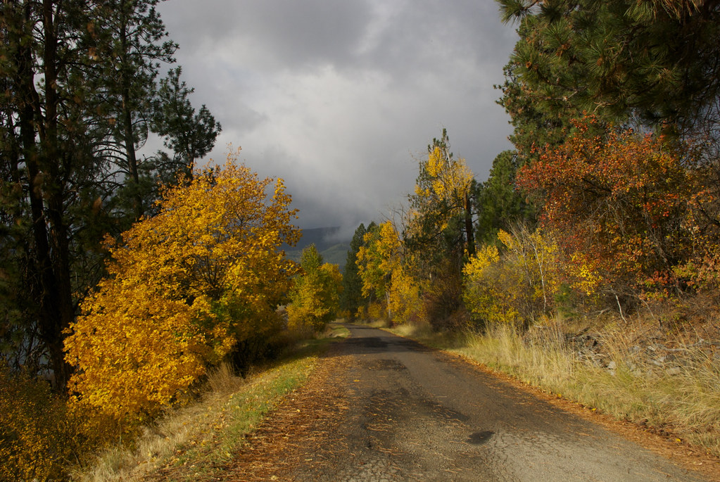 Country Road in Autumn