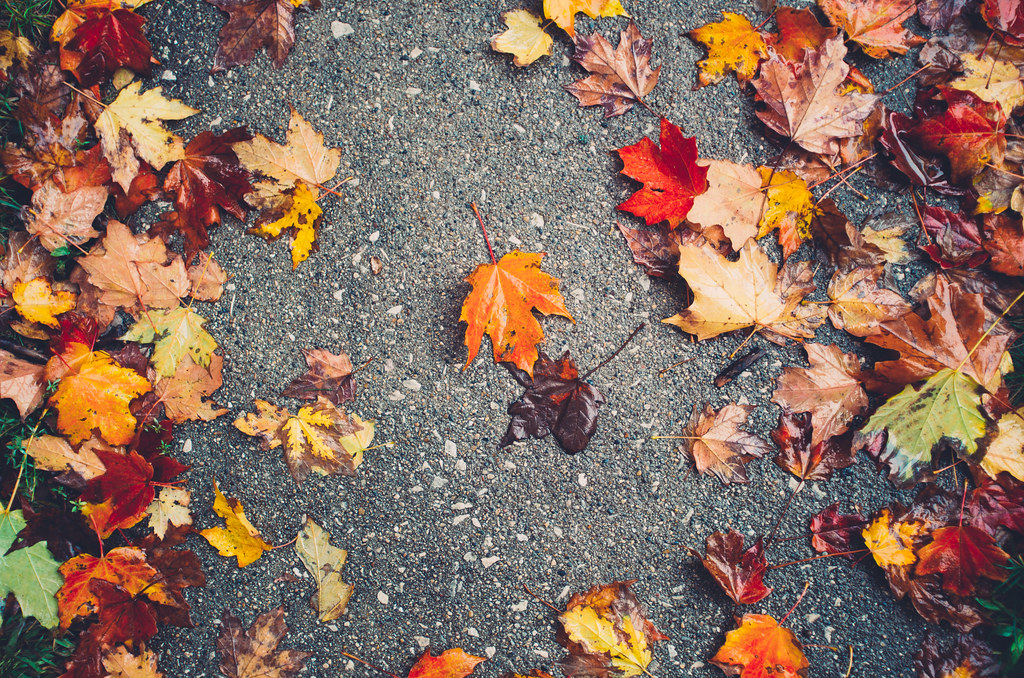 Autumn Sidewalk