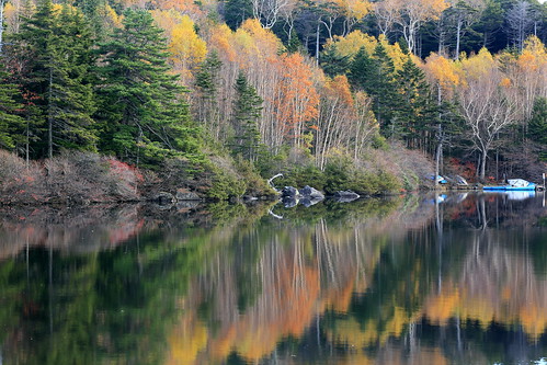 autumn reflections landscape pond autumncolors 長野県 白駒池 映り込み