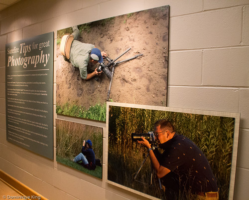 National Center for Nature Photography at Secor Metropark in Toledo, Ohio