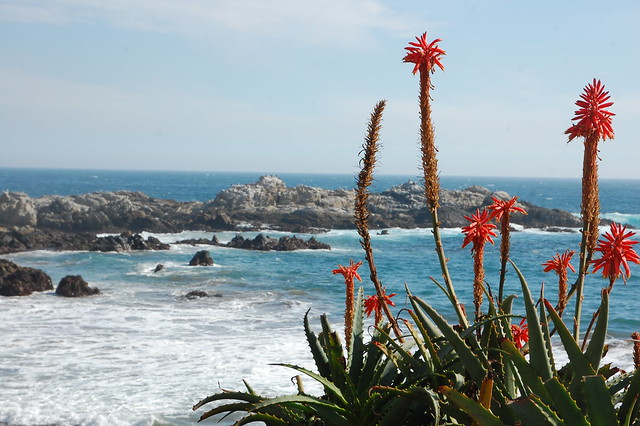 Views from Viña del Mar, Chile