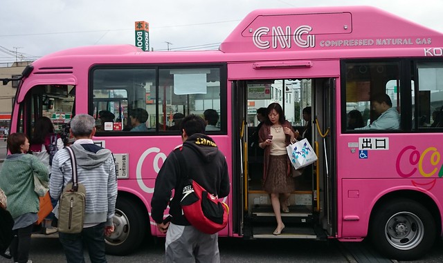 Pink Coco Bus to Edo-Tokyo Open Air Architecture Museum