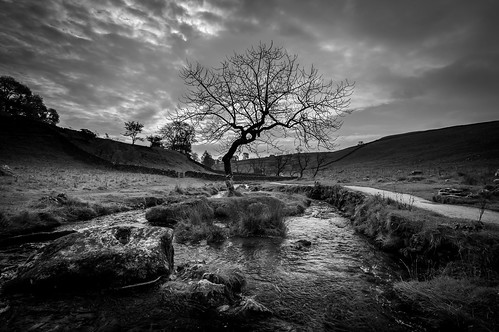 bw white black tree water monochrome grass silhouette rock clouds landscape stream path cove yorkshire scenary dales malham