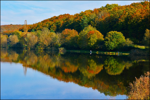 autumn forest automne landscape nikon contemporary sigma paysage reflexion reflets eaux étangs d7100 foréts 1770f284dcoshsmc
