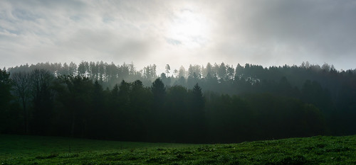 light fog forest sunrise landscape switzerland suisse lumière paysage brouillard forêt vaud lestavernes