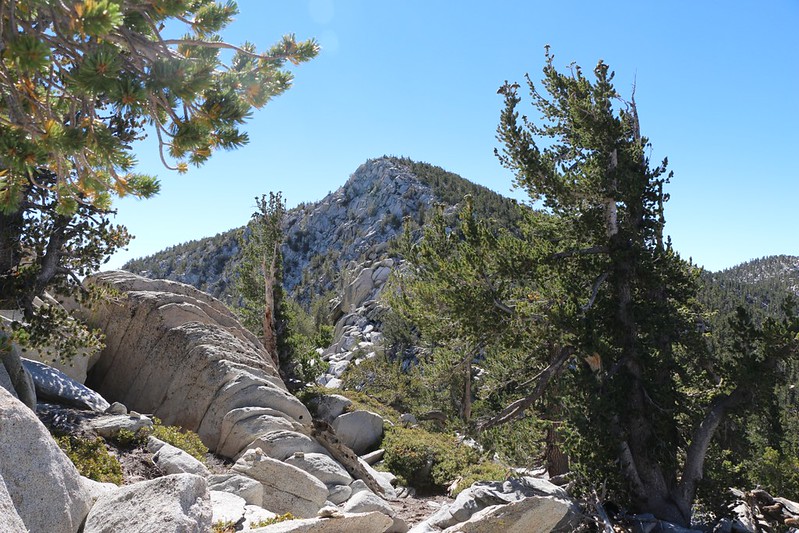View of the steep north face of San Jacinto Peak from the Folly Peak Ridge