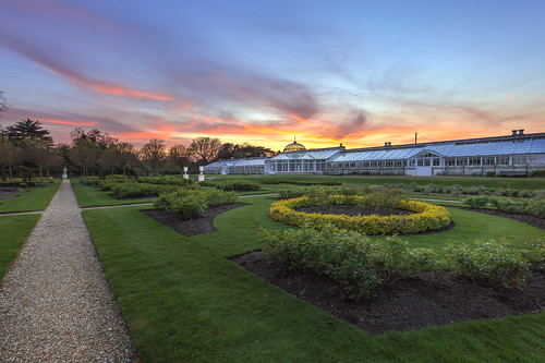 chiswick conservatory houseandgardens greenhouse sunset foliage plants flowers evening path w4 outdoors