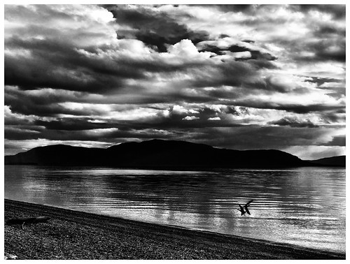 squalicum lake road sandypoint denmark orcas blackandwhite iphone camera clouds noir jere miles john kimberly