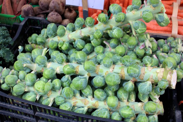 farmers-market-brussels-sprouts-stalk