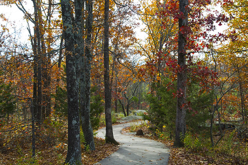 statepark autumn fall path follow missouri elephantrocks missouristateparks elephantrocksstatepark