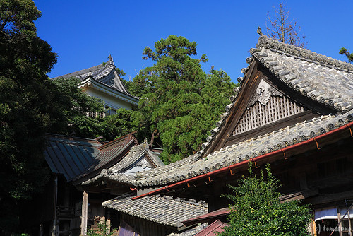 Kameoka Shrine
