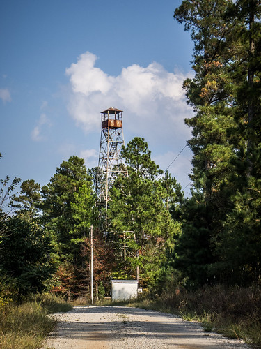 Woodville Fire Tower