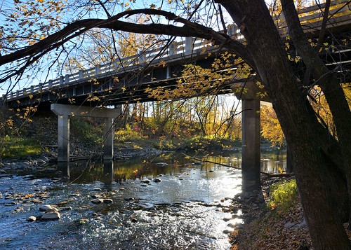 bridge usa reflection tree minnesota creek nikon glare sleepyeye mn4 cottonwoodriver d7100