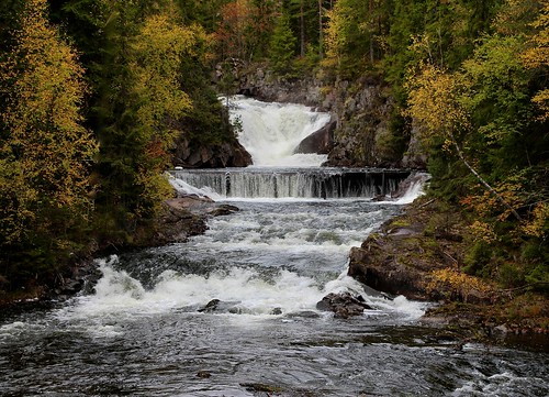 autumn trees water oslo norway forest waterfall skjersjøelva