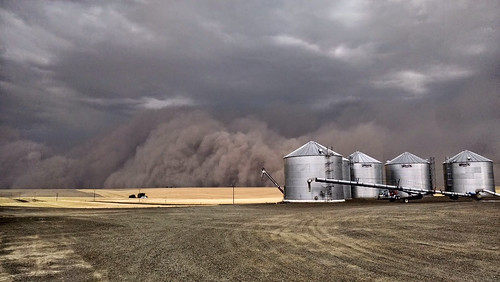 A powerful dust storm, known as a haboob, blankets a farm near Ritzville, Wash. Photo courtesy of Susan DeWald. Used with permission. 
