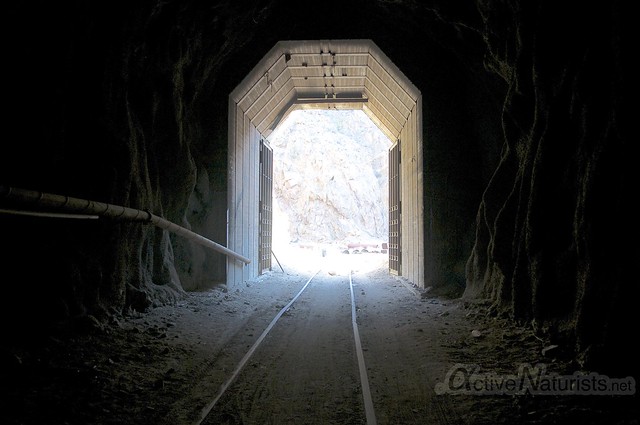 view 0029 DeAnza railroad trail, California, USA