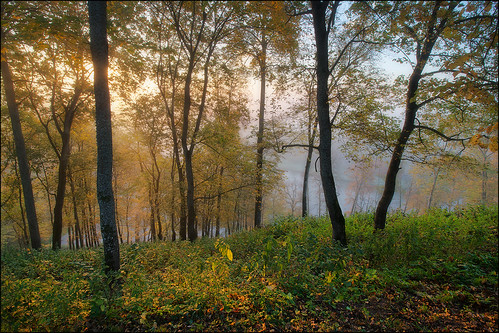 autumn forest sunrise canon eos october hdr lithuania 2014 lietuva neris 3x verkiairegionalpark verkiai 400d canonefs1018mmf4556isstm