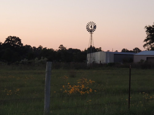 sunset windmill barn rural fence texas tx silhouettes mon tomball centuryold yellowtexaswildflowers