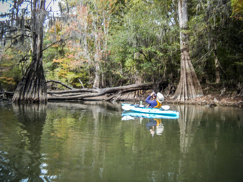 georgia us unitedstates kayaking paddling savannahriver lcu clyo lowcountryunfiltered stokesbluff myershistorical
