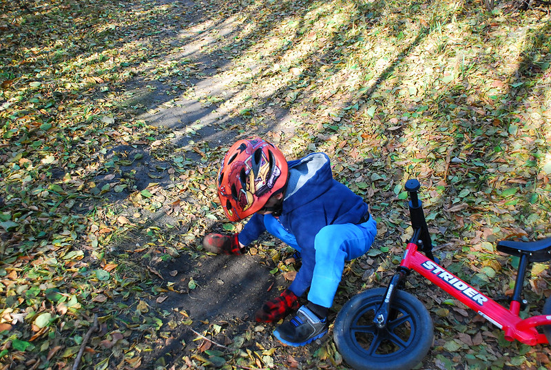 DSC_0125.jpg