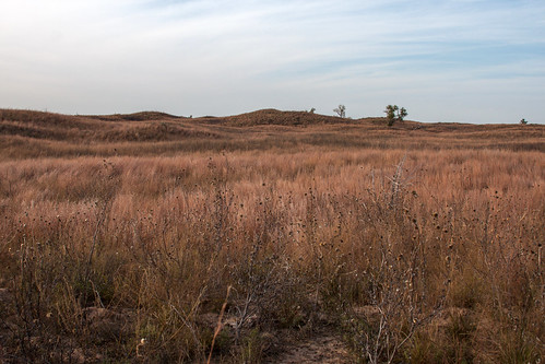 county autumn grass sand ks hills kansas prairie plains pratt sandhills