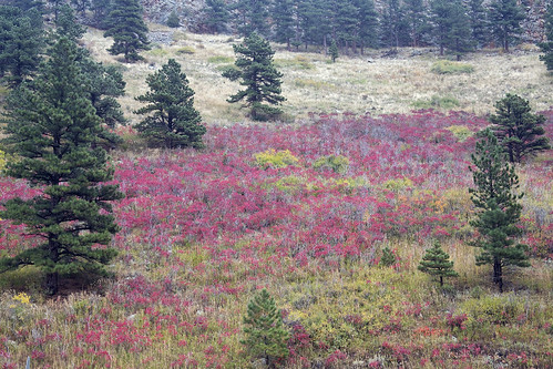 red mountains art nature landscapes colorado hand canyon rockymountains left canyons bouldercounty jamesinsogna