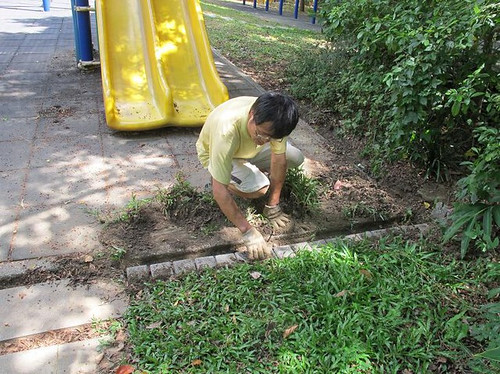 教育即生活 親子生態工作假期──水土保持改善實做