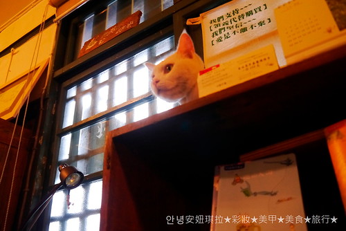 Blog//2014.06。花蓮市。時光二手書店
