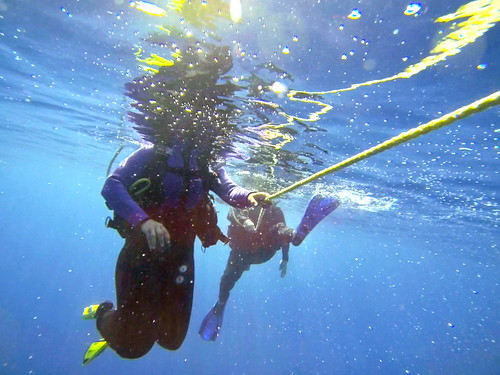 Diving in Oahu