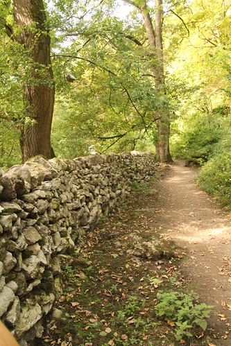 uk trees england canon woodland pathway northyorkshire malham janetsfoss woodlandwalk drystonewalling hww 60d steveeverett happywallwednesday tamron18270mmf3563diiivcpzd stevemalham