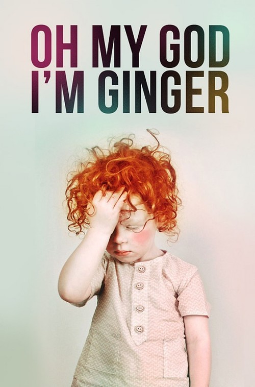 oh my god im ginger poster
