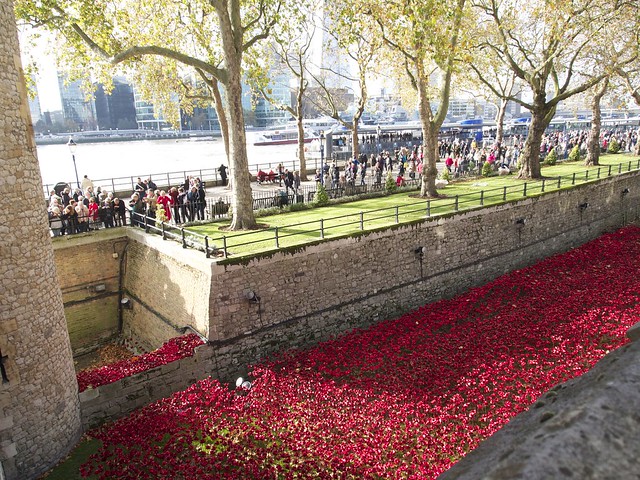 Tower of London, Blood Swept Lands and Seas of Red, London, travel, England, ceramic, poppies, moat
