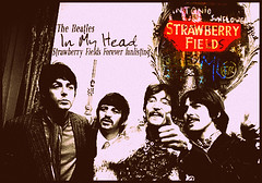 strawberry_ fields